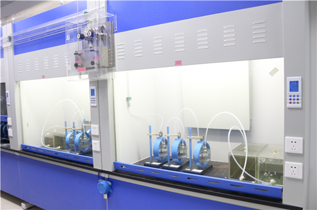 应力腐蚀开裂：详述双悬臂梁试验步骤