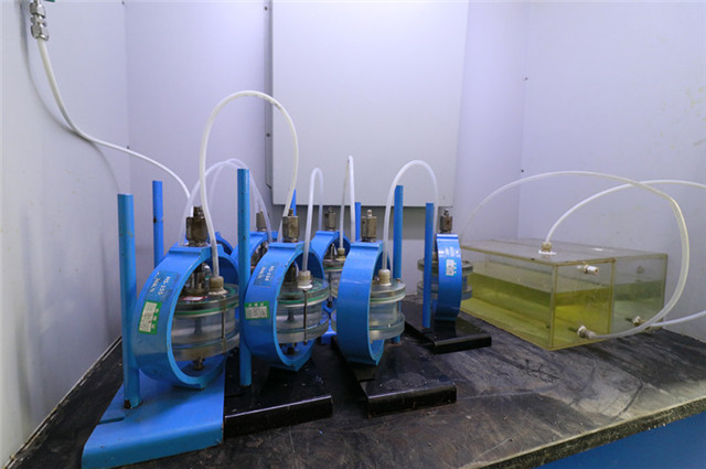 1761889150452002.jpg _MG_7459.JPG